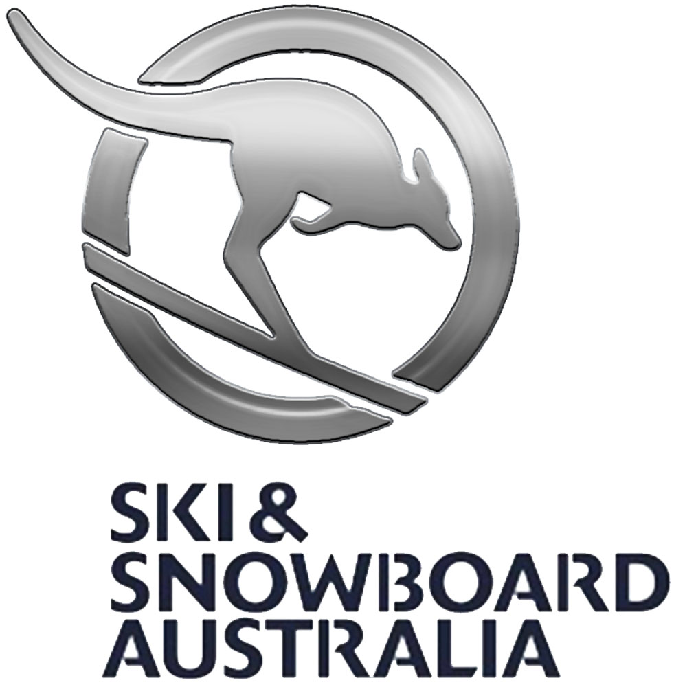 Ski & Snowboard Metallic